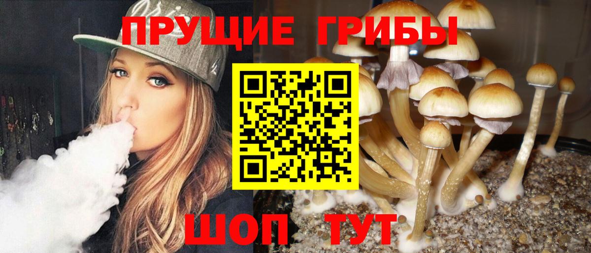 Волжск  Псилоцибиновые грибы Magic Shrooms  Вход с VPN 