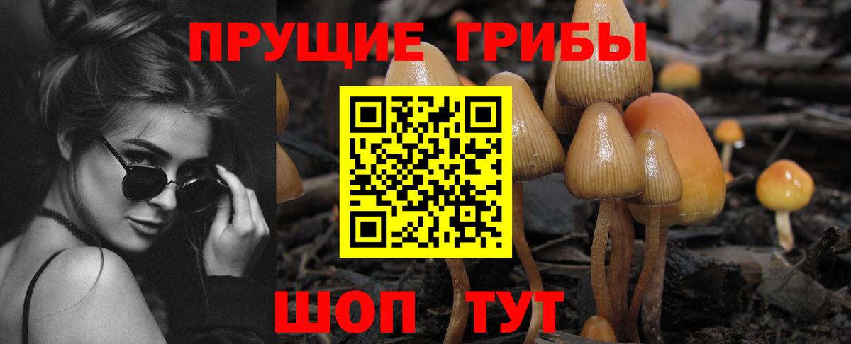Галлюциногенные грибы прущие грибы Волжск